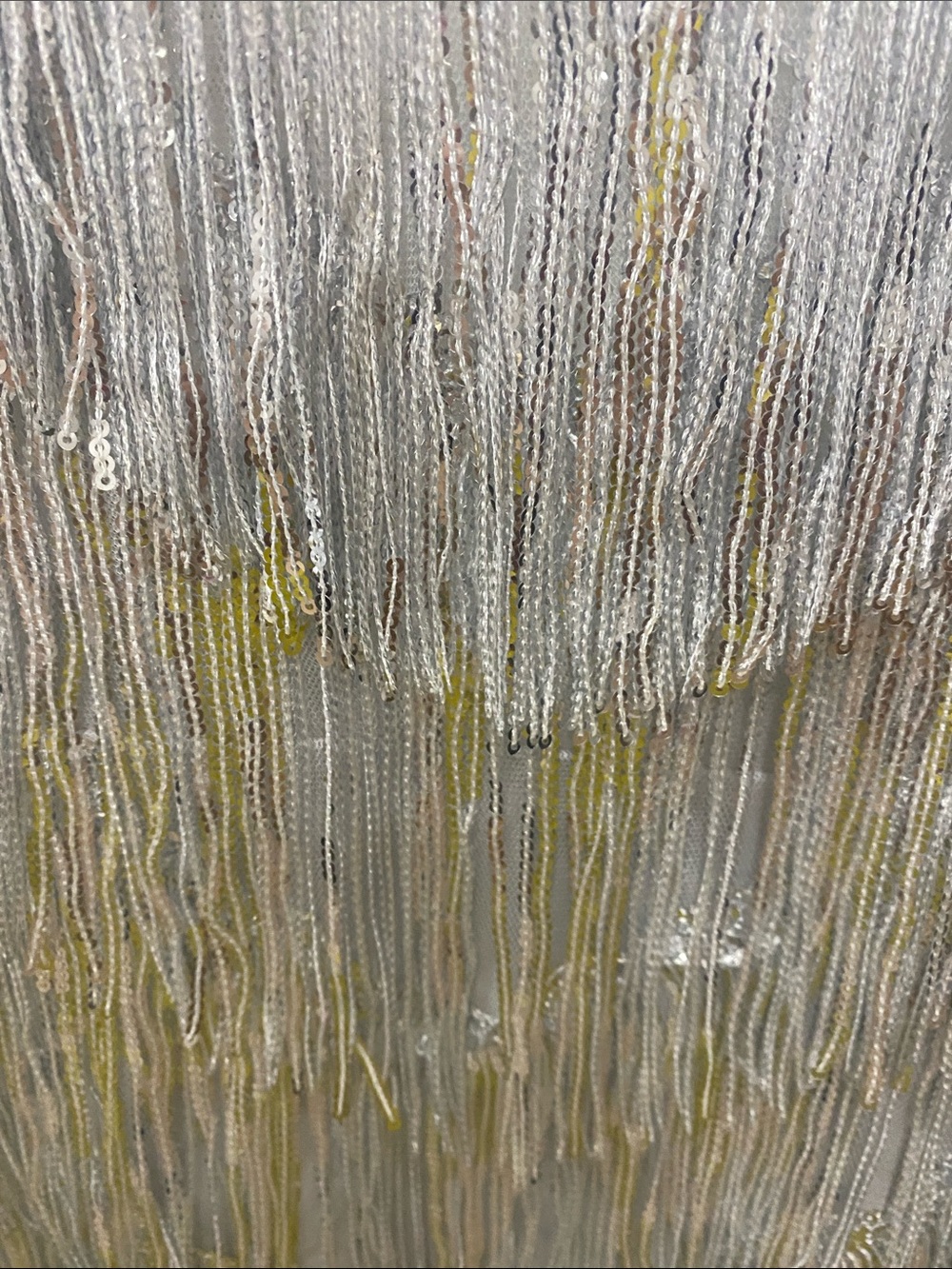 Fashion Nova Silver Fringe Party Mini Dress - Picture 2 of 4